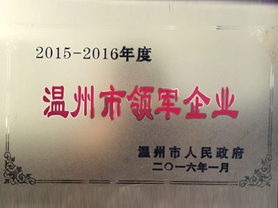 2015-2016年度溫州市領(lǐng)軍企業(yè)